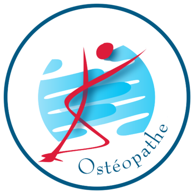 Damien De Saint Fraud