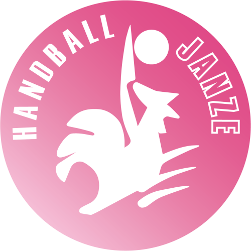 Logo Handball Janzé